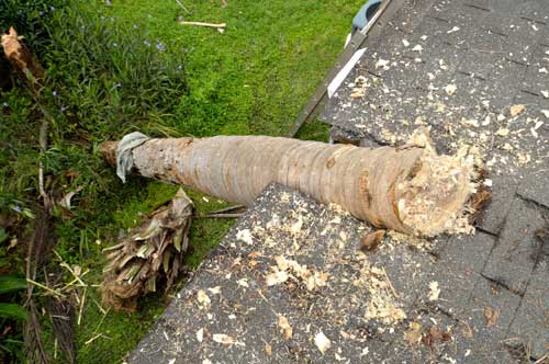 Storm Damage Repair Services